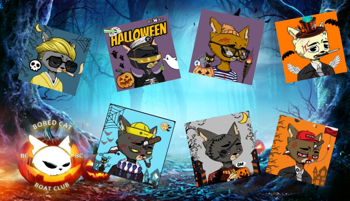 BoatClubLabs's tweet photo. Here's some early entries for our 
 @BoredCatBC  x @Official_1Combo  
👻Halloween Contest🎃
Check out our 📌 tweet for the mechanics
 
#BoredCatBoatClub #BCBC #NFTs https://t.co/bDuNazLbgi