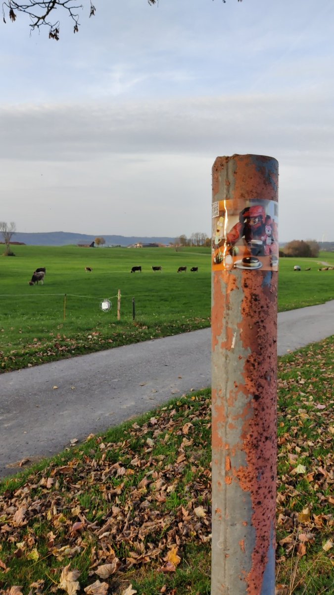 Captain92317828's tweet photo. @Pimmelbanderobi Spotted im Allgäu https://t.co/b7UuL9t82v