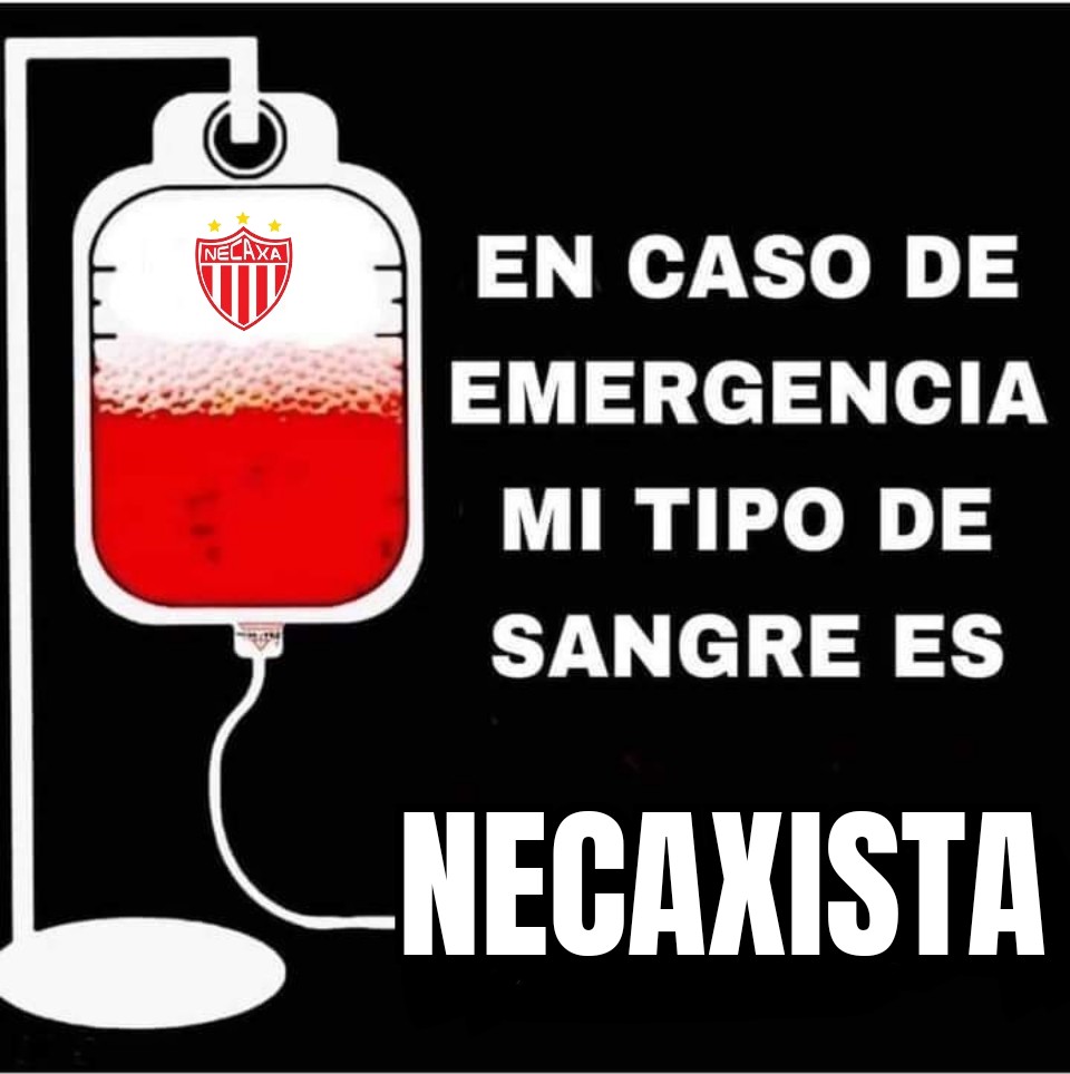 Lissdemetal's tweet photo. Por si me vuelve a atropellar el mismo u otro perro! ⚡🤘🏻😅
Excelente sábado. https://t.co/WQo3bdzhFd