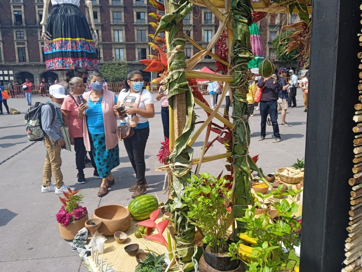 DiarioDeTabasco's tweet photo. #OrgulloChoco | Impresiona altar Yokotän Mazateupa- Nacajuca en Ciudad de México https://t.co/RNv0fl8fdA https://t.co/siM39xh7FS
