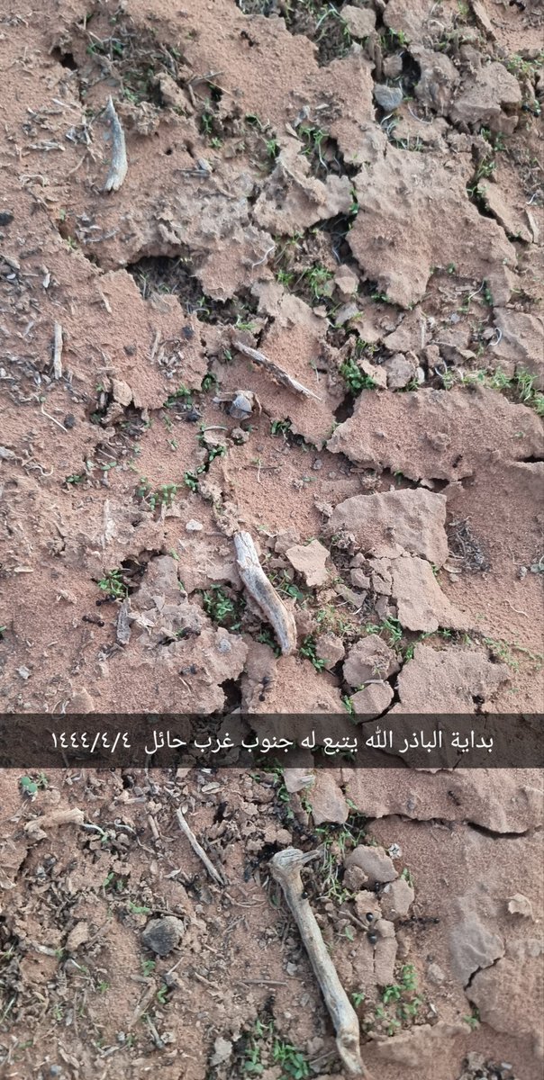 aid6463's tweet photo. #حائل 
@hail_weather https://t.co/Y1VB5NjU2h