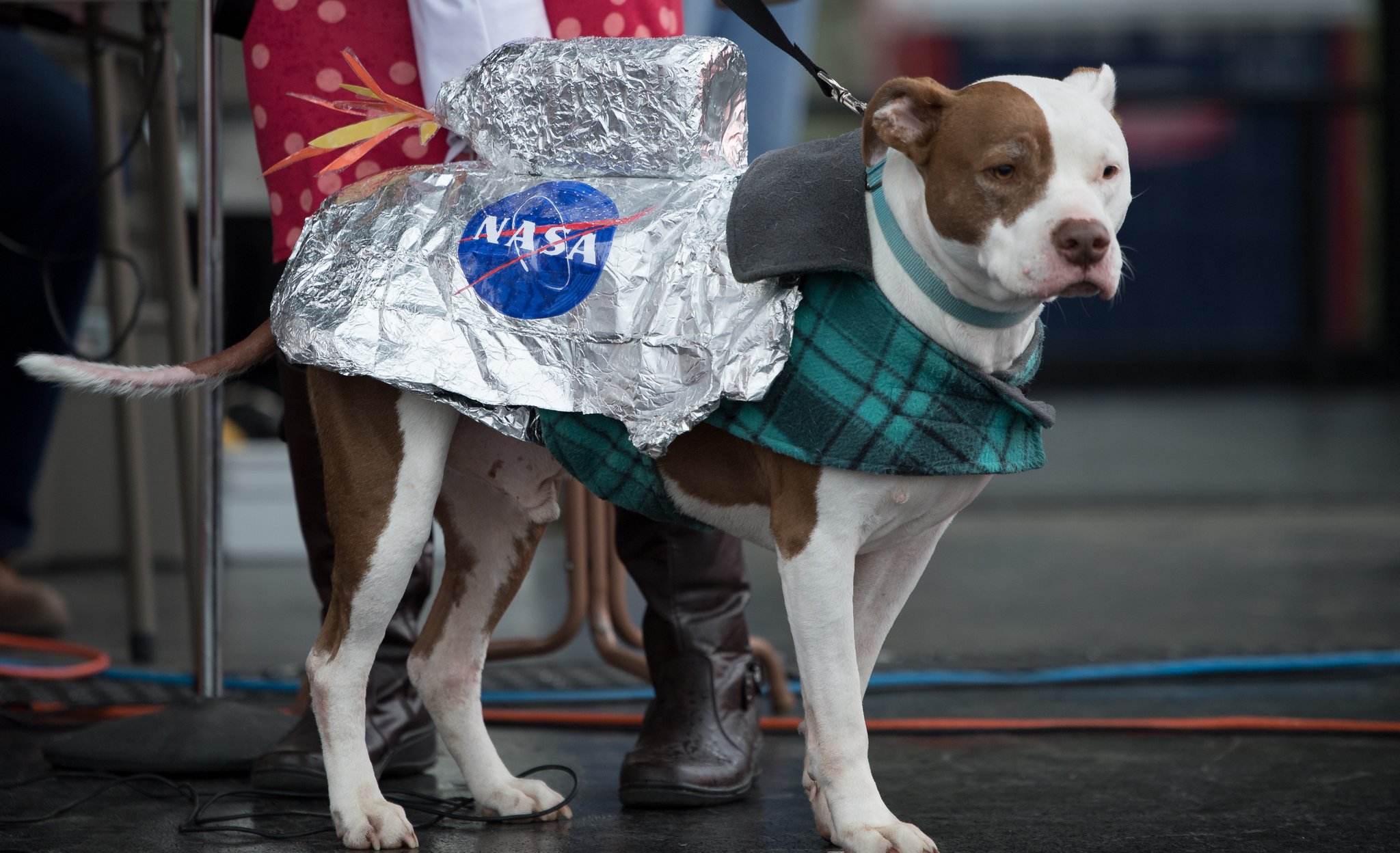 NASA on Twitter: 