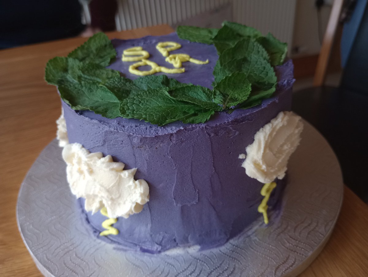 My now 9 year old's Birthday Cake that her aunt made her (incl lightening bolts as she's daughter of Zeus/Jupiter) #CampJupiter <a href="/camphalfblood/">Becky Riordan 📚 🎬</a>
