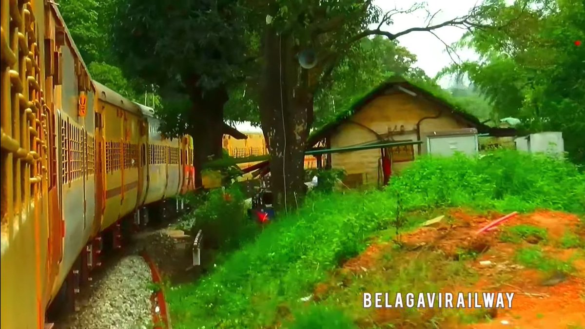BelagaviRailway's tweet photo. One of my Finest Video shot between #Gunji & #Londa
Beautiful Mountains, Deep Forest , Paddy fields, Peacocks..
#TrackSound
Do watch this video via #youtube
Below is the link ..
Subscribe Like Share Comment
https://t.co/gJ2Yklo0E3 https://t.co/9iAAJsta04