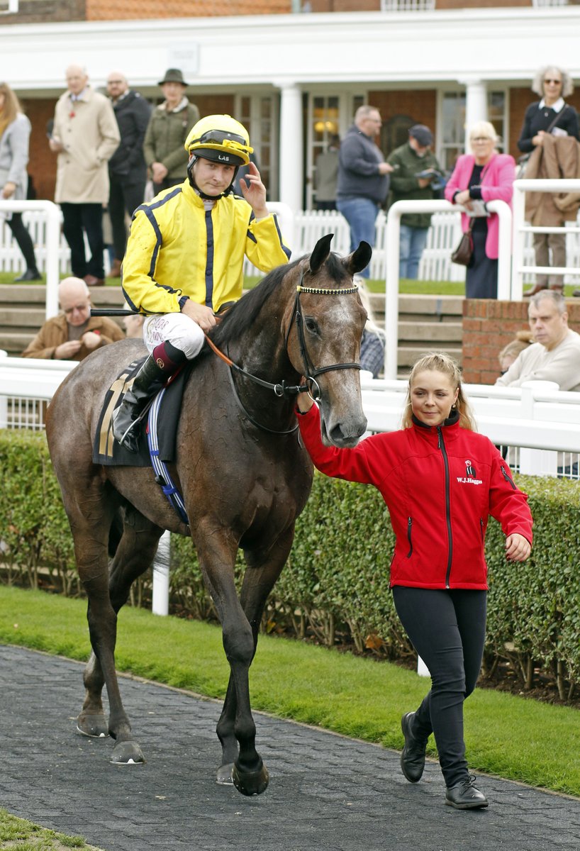 Orchid Bloom a taking winner on debut at @NewmarketRace for William Haggas & @CierenFallonJr. She was a 55,000gns purchase by Rabbah Bloodstock from @OverburySires at the #TattsDecember Foal Sale, with her Zoustar ½-sister heading to the sale this year » bit.ly/3TQrPL0