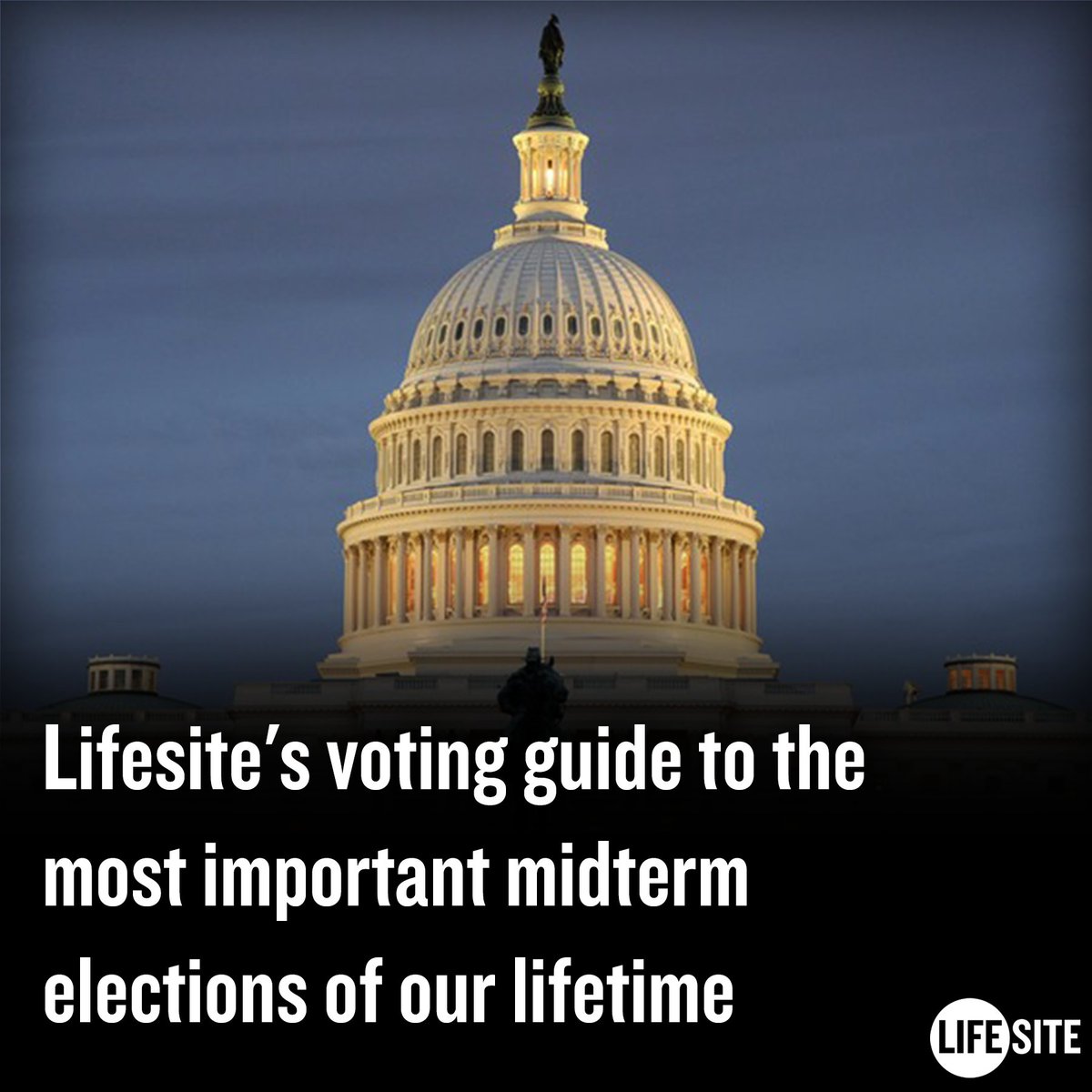 We're just days out from voting to decide which party will control congress and state governments for the next two years. In these confusing times, there are many wolves in sheep's clothing. Fortunately, LifeSite is here to help. 🔷Read more here: lifesitenews.com/blogs/freedom-…