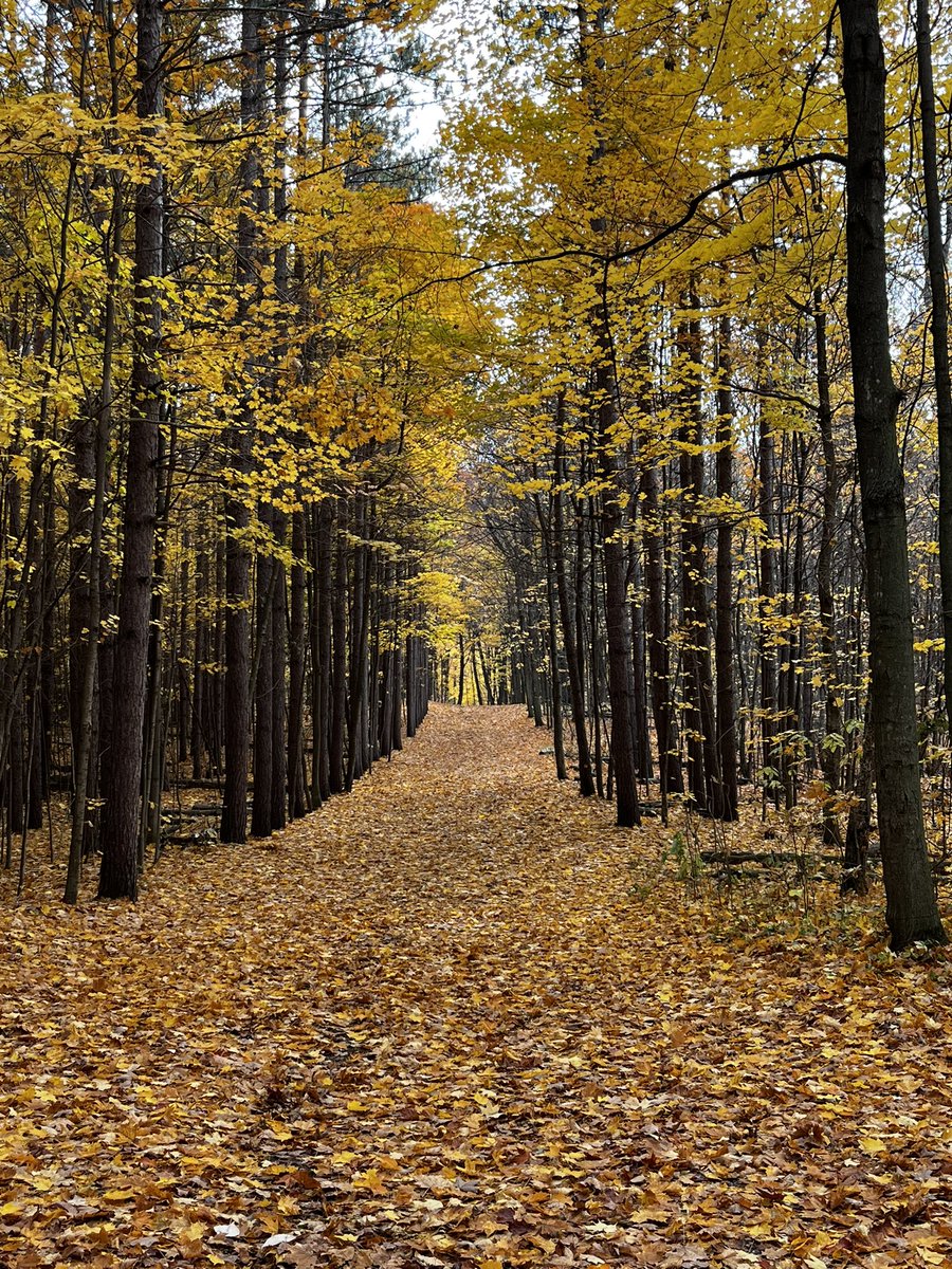 Oh the breath of fresh air.