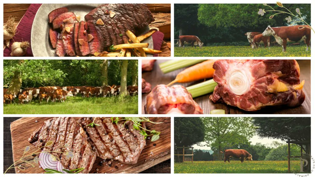MeatsPrimal's tweet photo. 'Several studies suggest that #grassbased diets elevate precursors for #Vitamin A & E, as well as cancer fighting #antioxidants such as glutathione (GT) and superoxide dismutase (SOD) activity as compared to grain-fed contemporaries' Read out latest blog: https://t.co/Q2rBHAhl35 https://t.co/PKamZImsG8