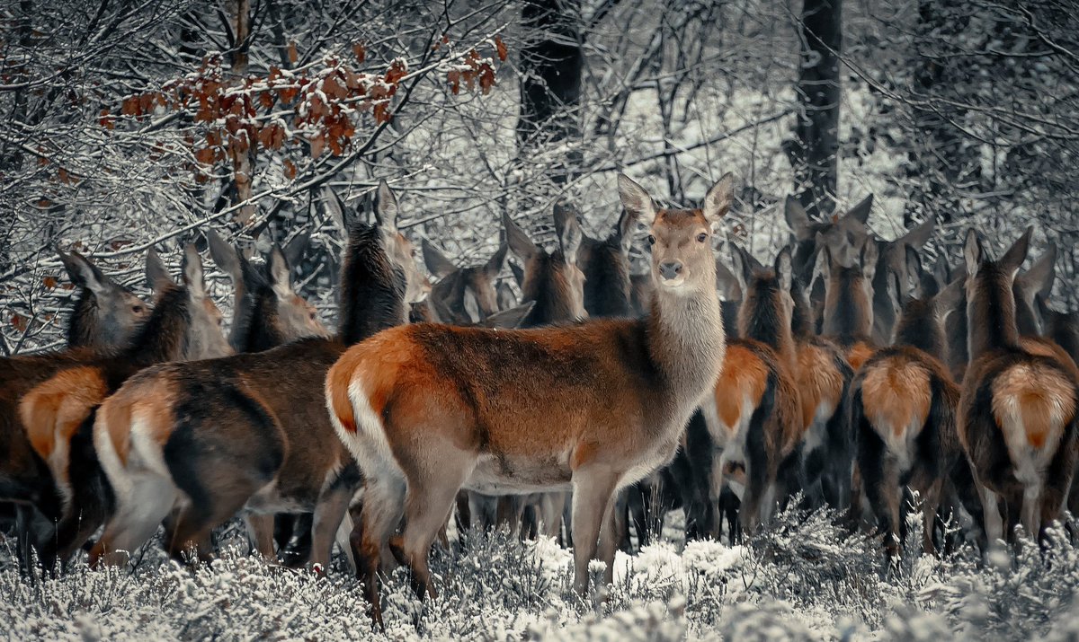 nonuzworld's tweet photo. #pics #picsart #picedit #photoedit #edits #editing #nonuzedits #lightroom #lightroomtutorials #lightroommobile #lightroompresets #lightroomedits #snapseed #snapseededit #explore #explorepage #exploremore #exploreworld . @Lightroom https://t.co/cEMY8eEeaQ