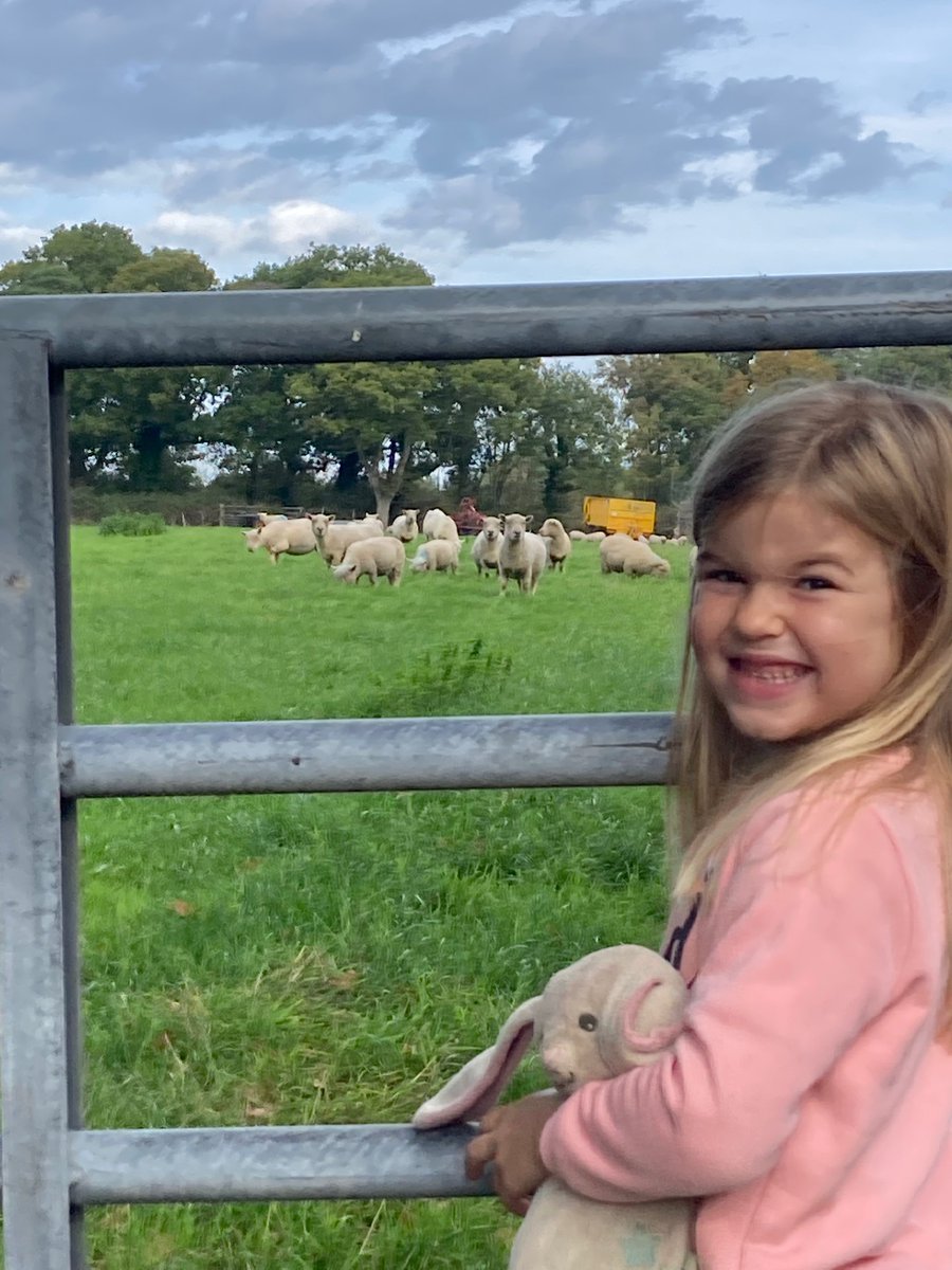 Pure happiness at seeing the farmers sheep return! This girl is determined to grow up to be a #shepherdess. Not long till our stay at <a href="/CotswoldFarmPrk/">Cotswold Farm Park</a> and her happiest place! <a href="/AdamHenson/">Adam Henson</a>