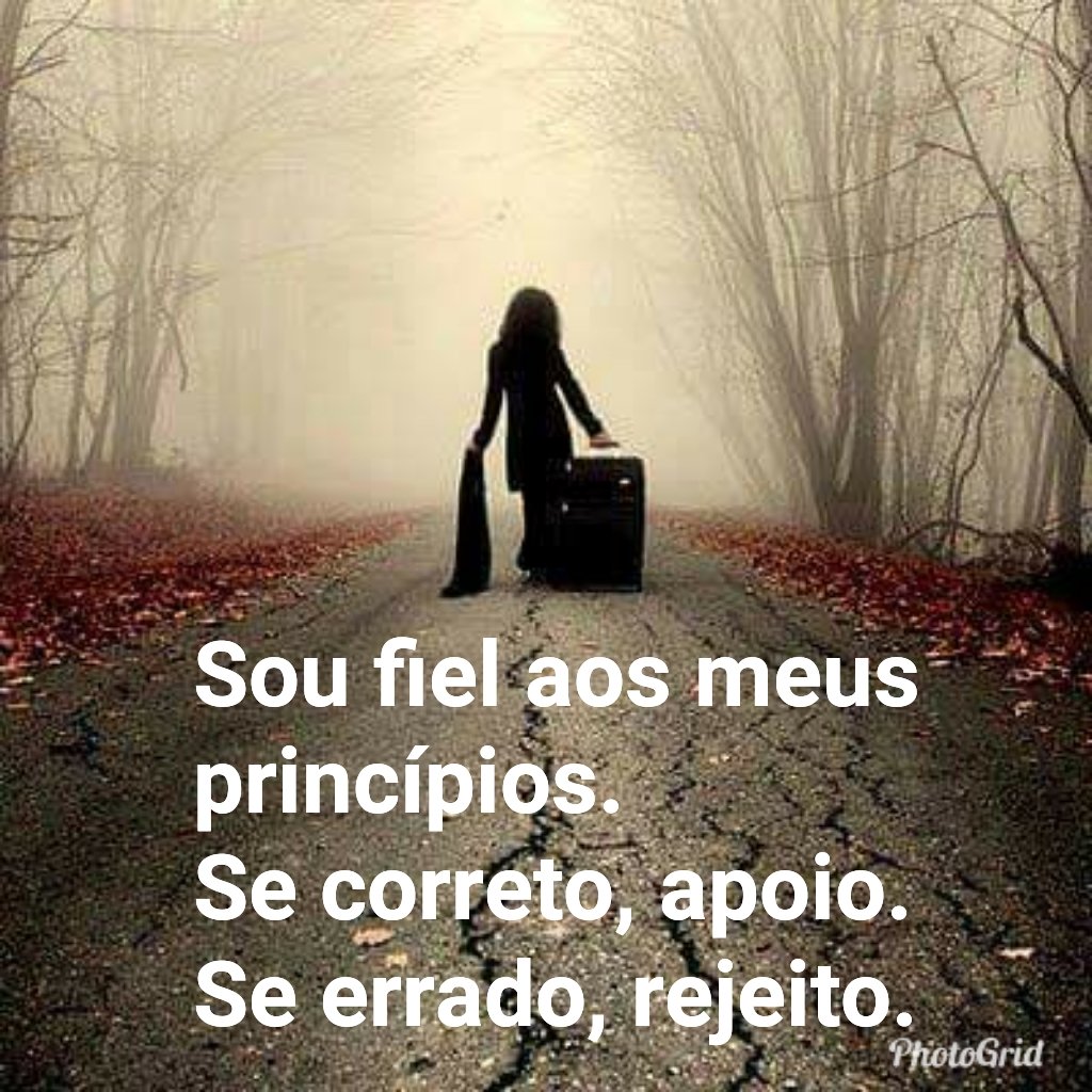 MariaAngelaFon2's tweet photo. https://t.co/H9OEuIOYC3