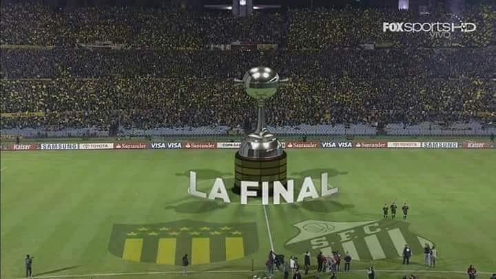 PyD1891's tweet image. No me puedo morir sin ver a Peñarol campeón de la libertadores.
