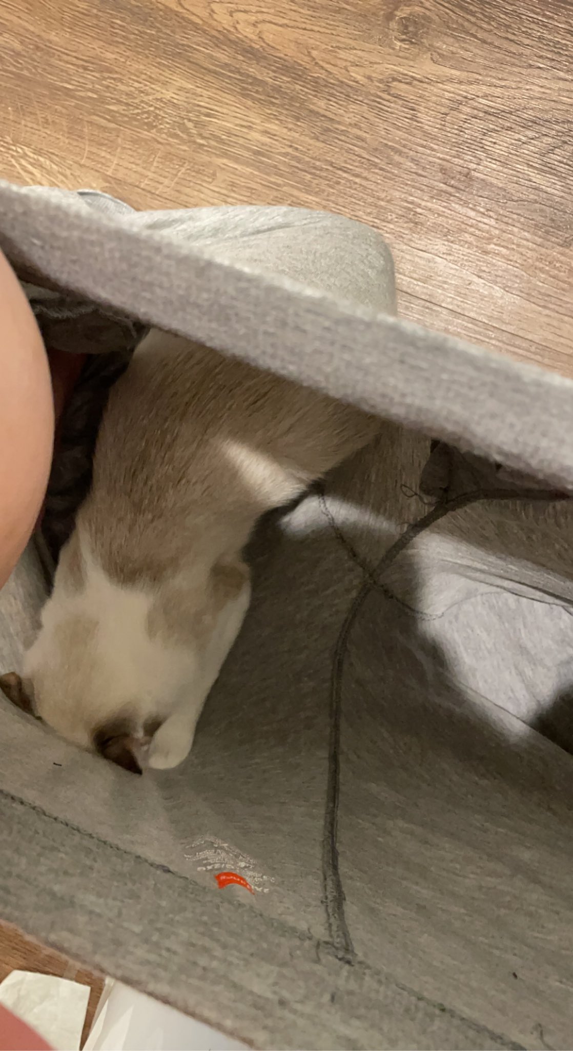 FrtingGlitter on Twitter "Please. https//t.co/GBO8zy2yjK" / Twitter