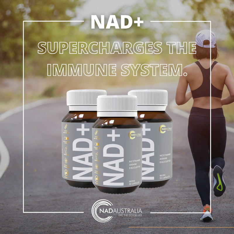 NAD_Aus's tweet image. NAD+ protects your body against any disease by helping your immune to respond fast. 

Shop here: ⬇️
nadaustralia.com/products/nad-h… 

#21Days #21DayProgram #NADAustralia #NADSupplement #ImmuneSystem #BodyHealth #ImmuneSystemSuplement