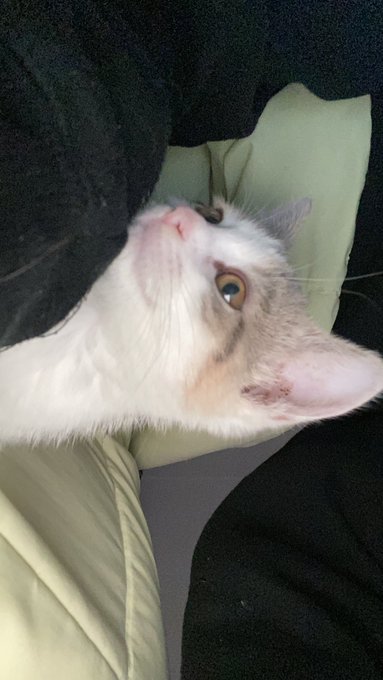 This is Britney (middle name is Spears) https://t.co/KUl2vdzFEt