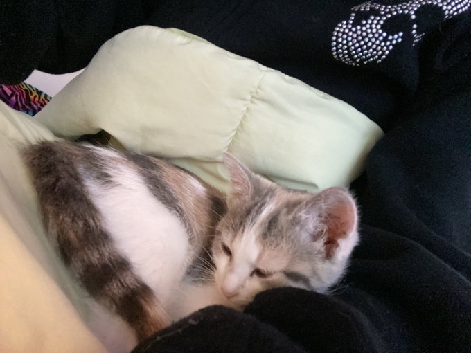 This is Britney (middle name is Spears) https://t.co/KUl2vdzFEt