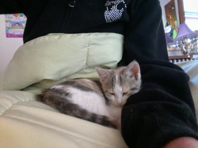 This is Britney (middle name is Spears) https://t.co/KUl2vdzFEt