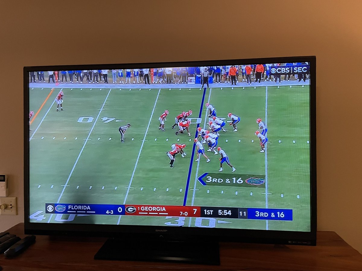 blakewoolsey tweet media