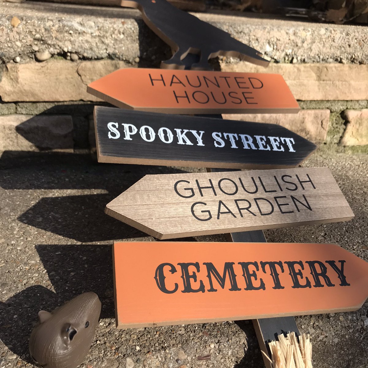 CapySkull's tweet image. Cool, plenty of options.  #capybara in a #halloweenseason