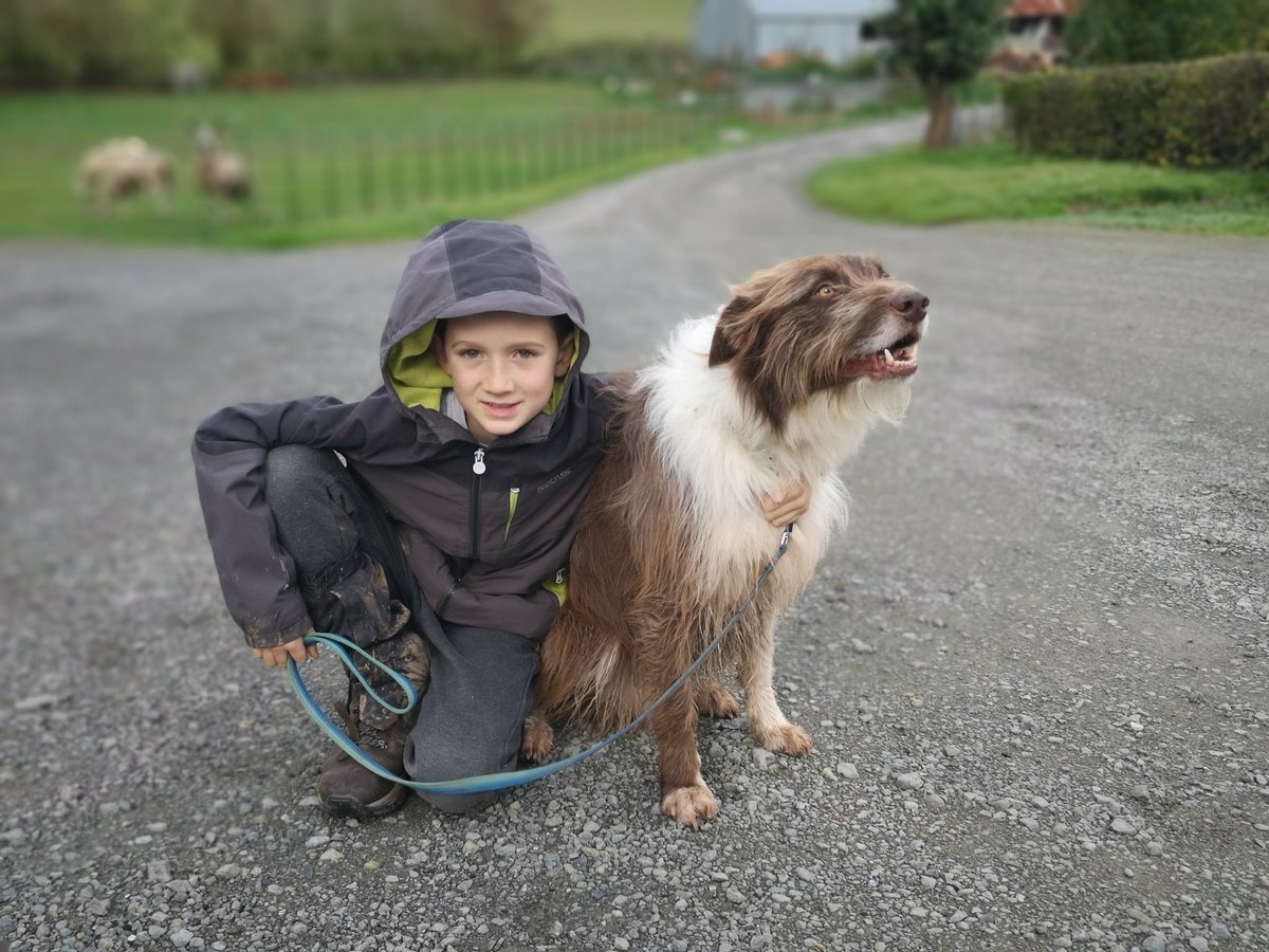 CazAdams3's tweet photo. Jack's (aged 9) 4th stretch of the 100-mile #ThreeChoirsWay for @SteveBackshall's #OperationOcelot (@worldlandtrust) - his 4th fundraiser in 11 months, raising nearly £3000! 🌍🌱💚
https://t.co/BgXWkD8E1G
@BBCGlos @BBCNews @GlosLiveOnline @BBCCountryfile @REGUABrasil @LeeDingain https://t.co/qySWyB62Vw