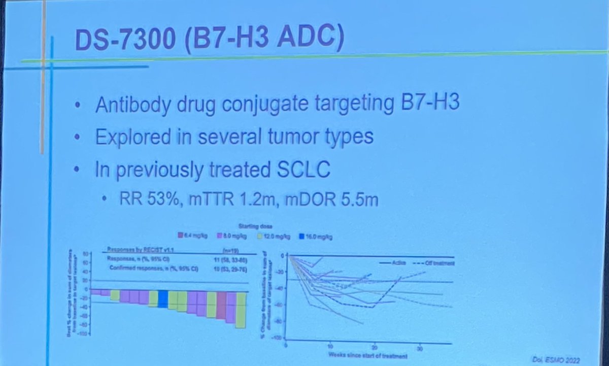 DCCancerDoc's tweet image. Small Cell Lung Cancer SCLC SOC discussed by Dr. @StephenVLiu at #DCLung22 with highlights including promising agents. Scratching the surface still with biomarkers