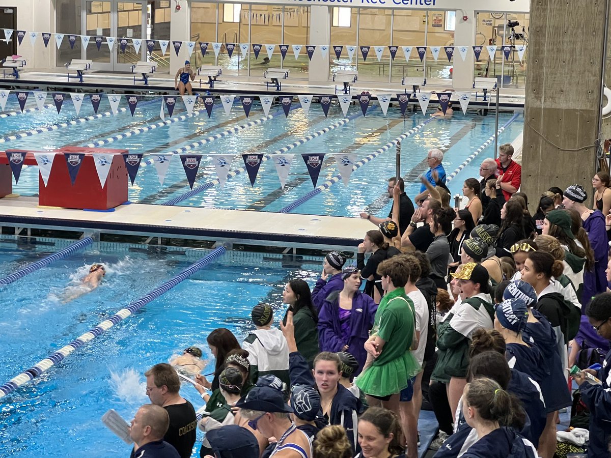 Mayo Activities tweet media