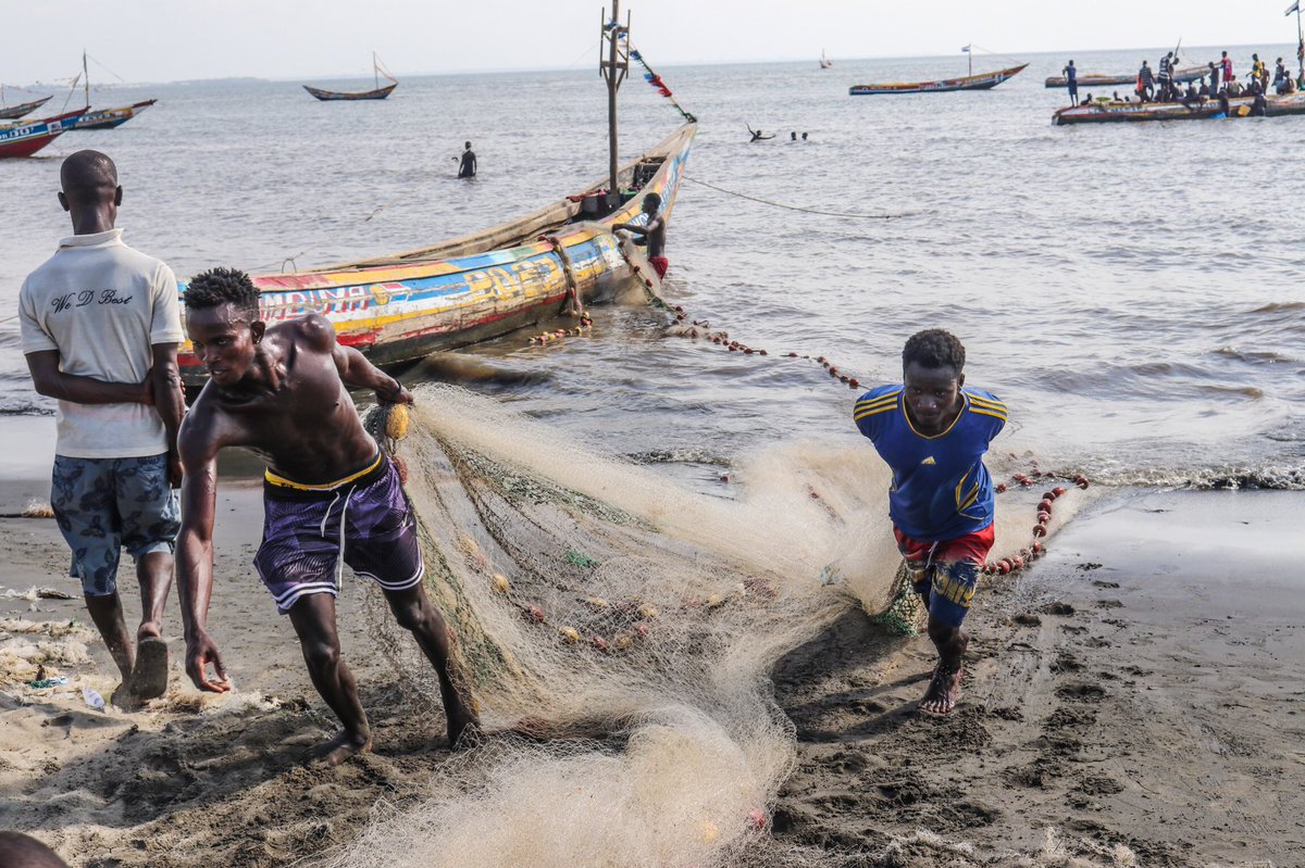 Barmmy Boy tweet media