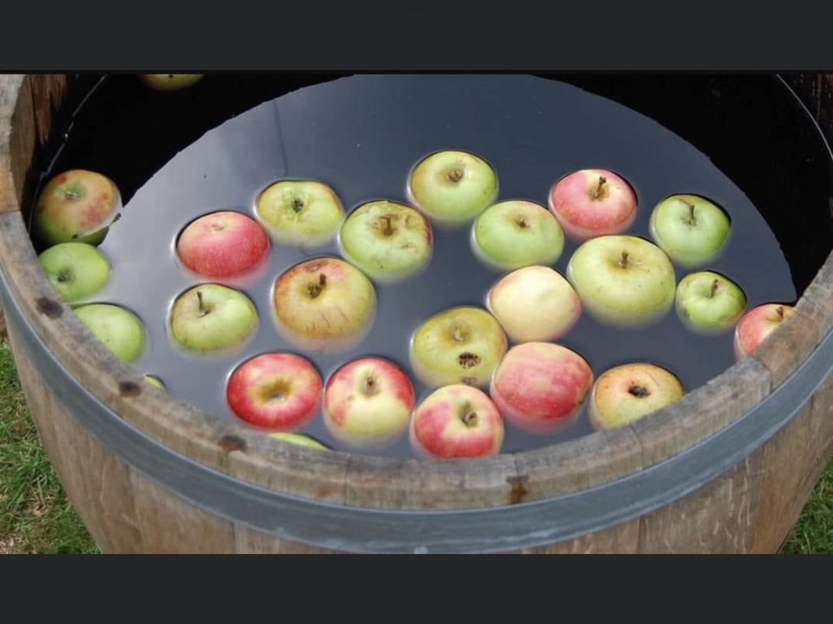 RewindTime_'s tweet photo. Did you duck for apples? https://t.co/IhKO2mpifp