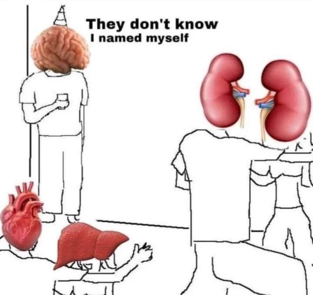 NeophyteTrader_'s tweet photo. the brain is an organ that maximizes causal connection between its parts, allowing signals to propagate across the network and for small changes to have large effects when amplified in this way https://t.co/ALfvtIqKaX
