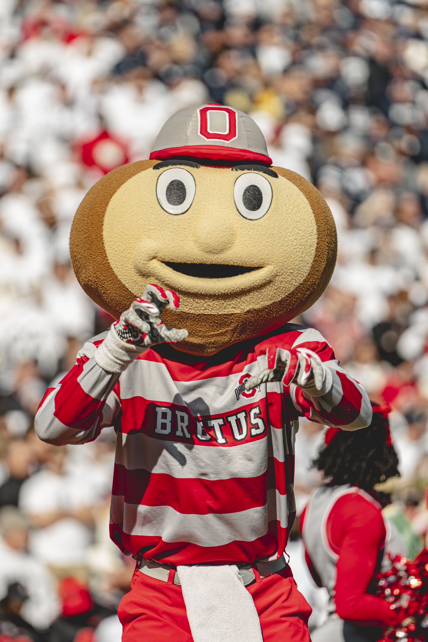 Brutus Buckeye 🌰 on Twitter "Heard there were some lions loose…we’ll