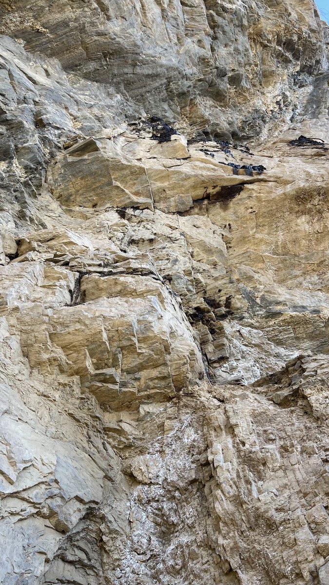 كنوز جبال محافظة الداير:
عروق حجر الموميان ( شيلاجت)
حجر عضوي طبيعي يتكون في الجبال بين الصخور من مكونات عضوية طبيعية .
يُعتبر مصدرا غذائيا وطبيا لدى الكثير من شعوب العالم 
⁦<a href="/MEWA_KSA/">وزارة البيئة والمياه والزراعة</a>⁩ 
⁦<a href="/media_ksa/">وزارة الإعلام</a>⁩