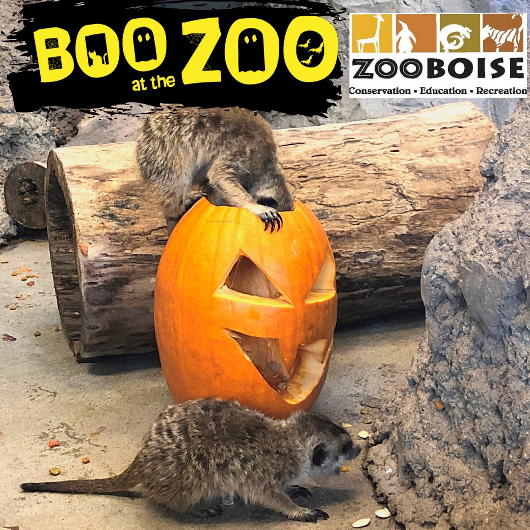 Zoo Boise on Twitter "Boo at the Zoo Presented by Delta Dental of