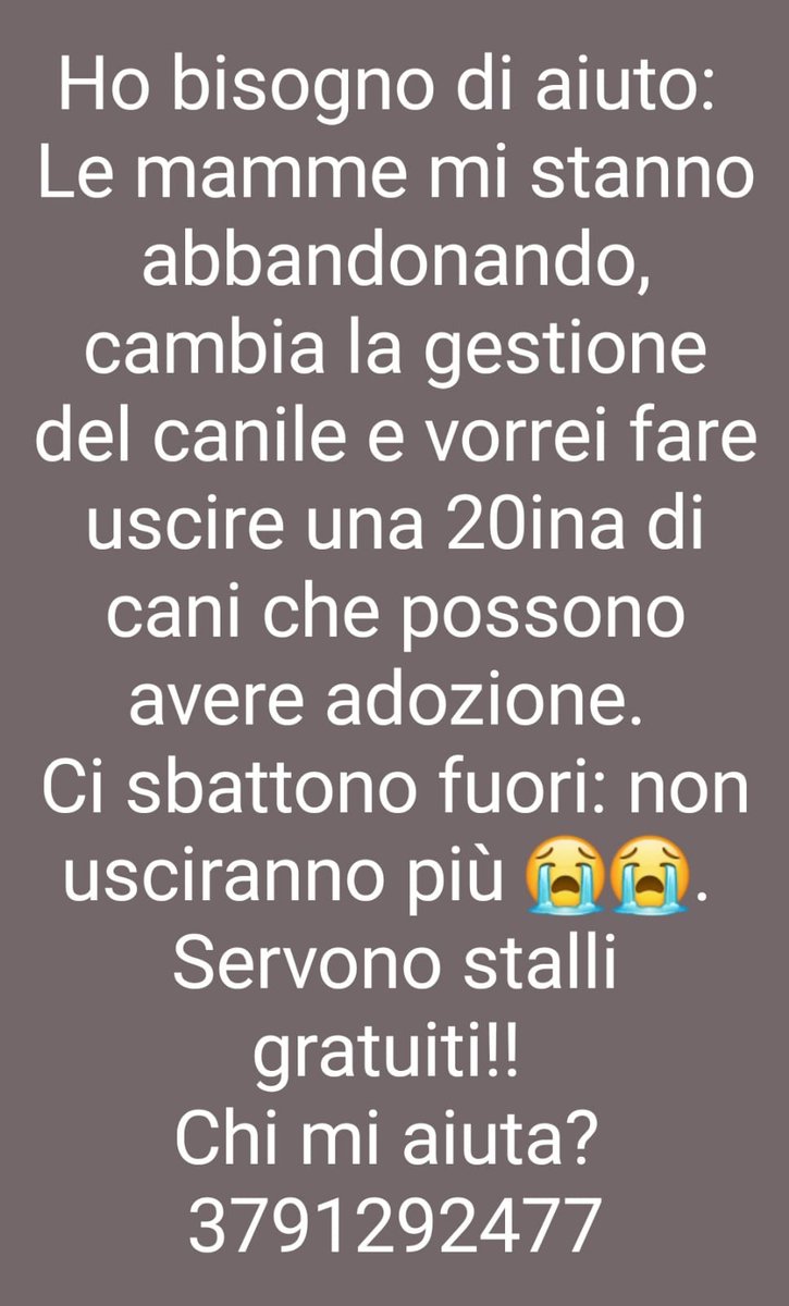 zampa_qua's tweet photo. STRAURGENTISSIMO RICEVO  E CONDIVIDO 🆘🆘🆘🆘⚠️⚠️⚠️⚠️⚠️⛔️⛔️⛔️⛔️☎️3791292477🐕 AIUTIAMO QUESTA VOLONTARIA #4voiceless CONDIVIDETE 🙏🙏🙏🙏🙏🏡😔 https://t.co/hxeH2Gib83