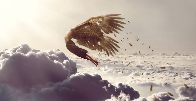 vlhlzn's tweet photo. Mastermind es la definición de Zayn Malik creando Icarus falls basándose en la caída del ícaro una leyenda de la mitología griega para relatar por medio de su música lo flexibles que somos los seres humanos en la vida y como un momento podemos estar arriba y luego desplomarnos… https://t.co/C86bbRny0W