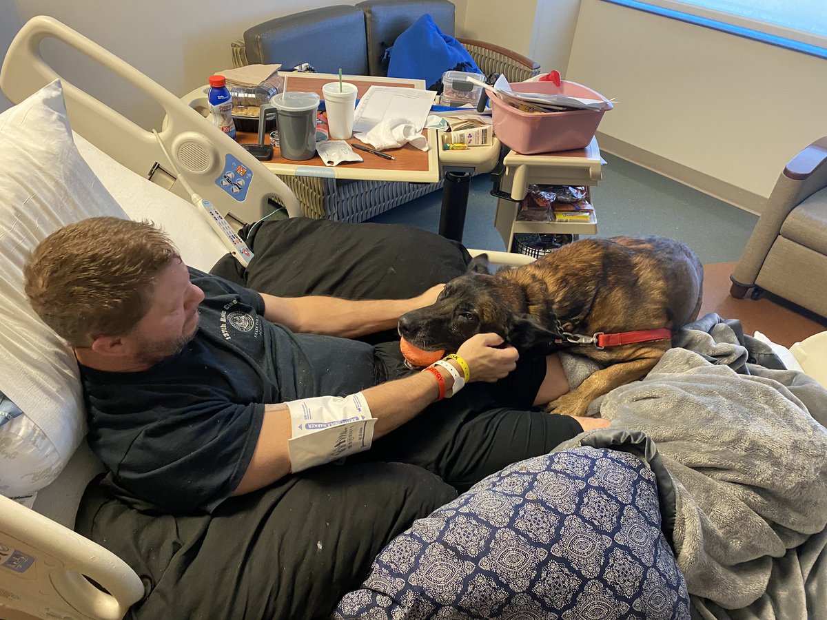Are you ready for something to make you smile? Every dollar helps.Please share!This is my dad💙🖤💙🐾currently a Sheriff Deputy &amp; Retired 1st Sgt. <a href="/JohnLaulis/">John Laulis</a> <a href="/L_Pysz/">Laura Pysz-Laulis</a> 
gofund.me/4bc7dbc0