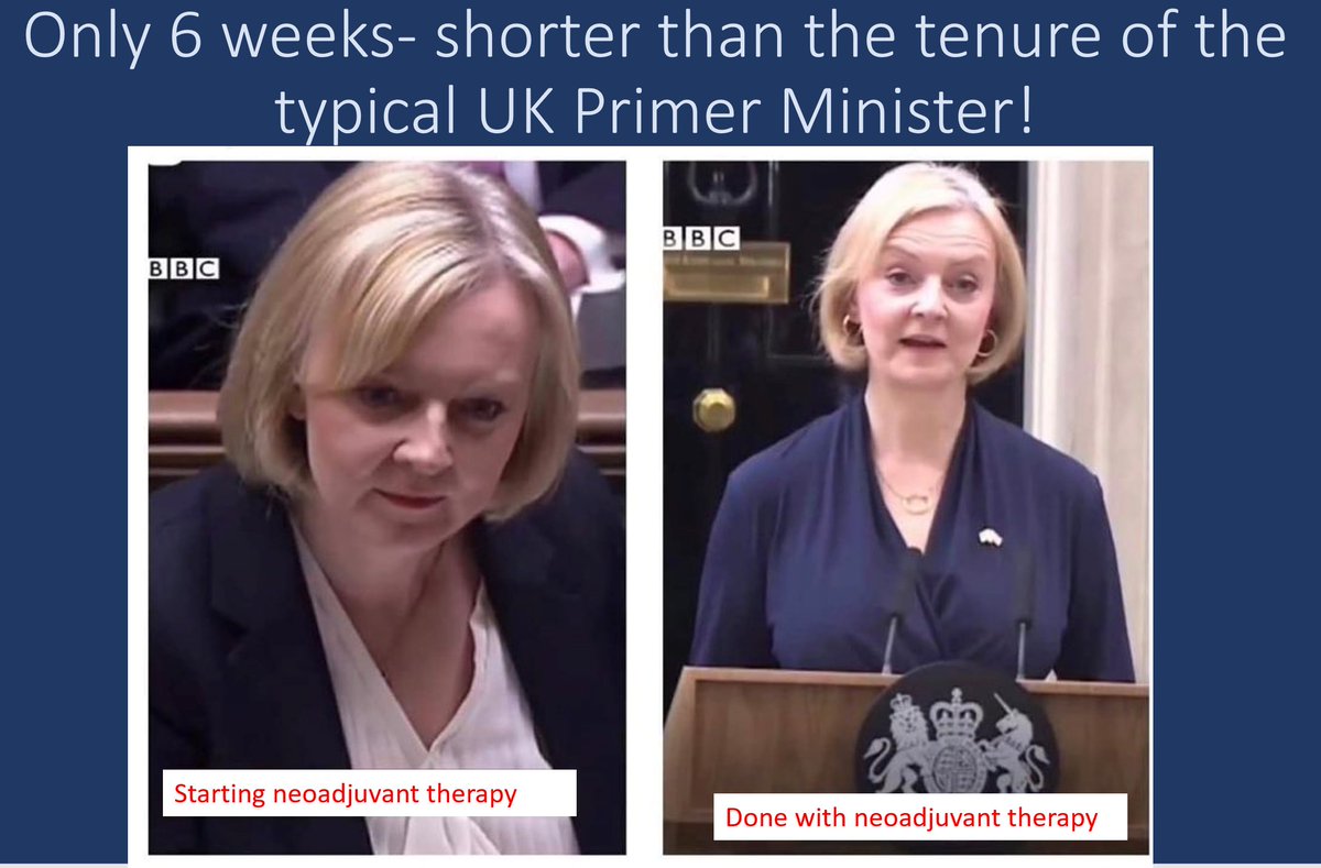 Balazs Halmos tweet media