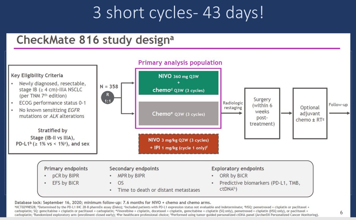 Balazs Halmos tweet media