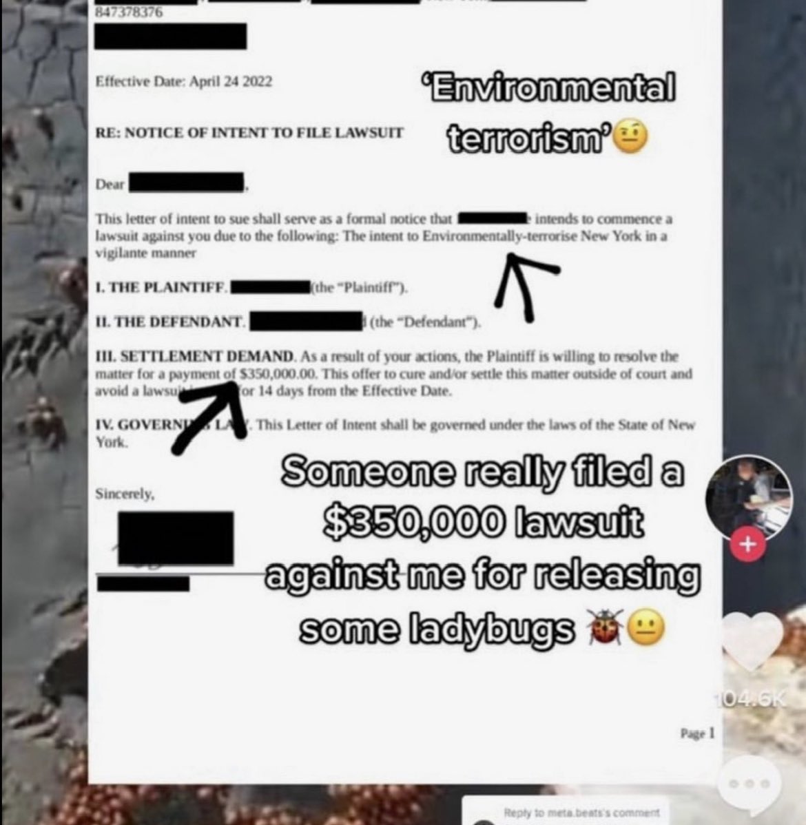 InternetH0F's tweet photo. the tiktok ladybug fiasco https://t.co/TJrtLyLho5