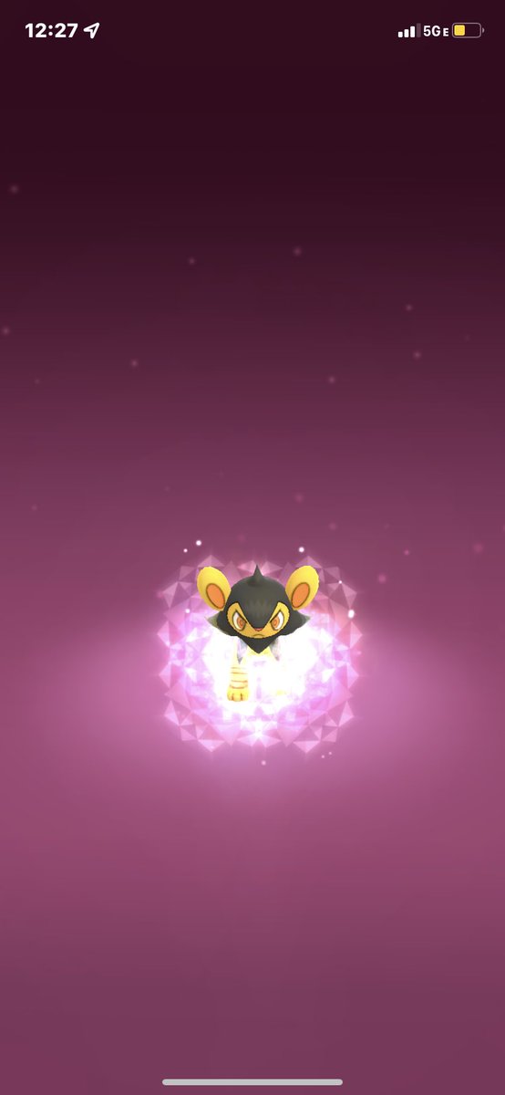 thepumpkinthief's tweet image. #PokemonGO #PokemonGOHalloween so I didn’t know exactly how Zorua was going to appear but I didn’t expect to be so happy to do upset within 20 seconds