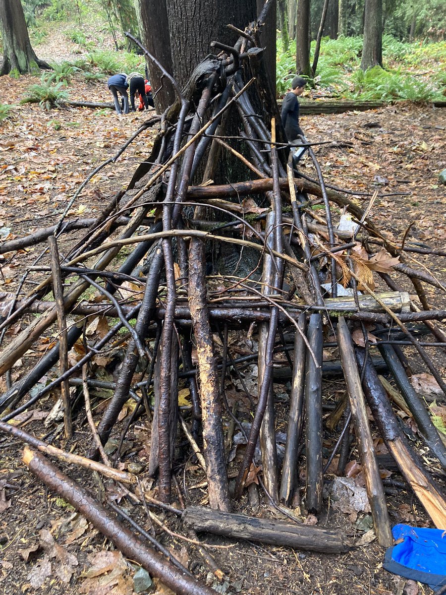 ktworboys's tweet photo. Div. 6 and 7 (or Div. 13 as they like to be called) enjoyed building fairy homes after watching Fern Gully. This movie is still relevant 30 years later! Let our deep dive into learning about all things forest begin!
#teamwork #forestfriday @secondstSD41 https://t.co/jtyahpWykP