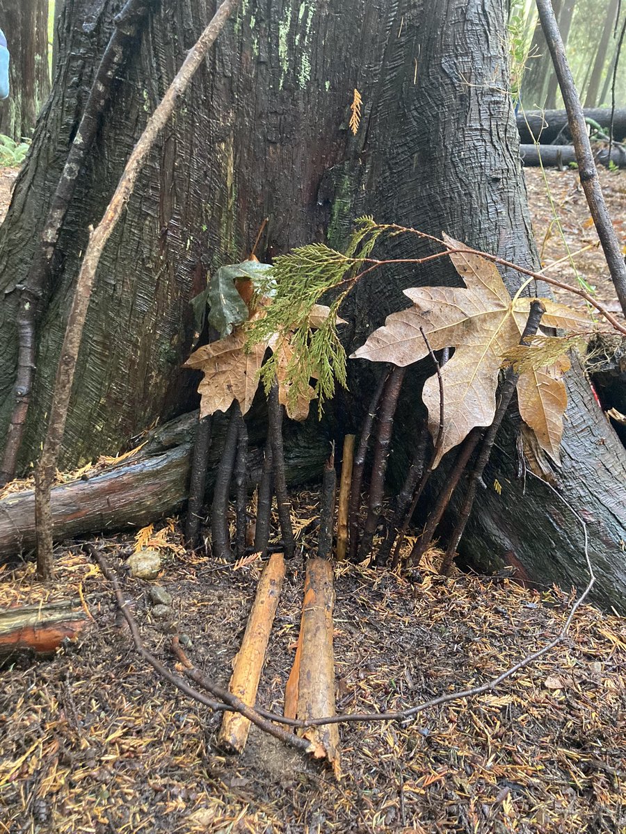 ktworboys's tweet photo. Div. 6 and 7 (or Div. 13 as they like to be called) enjoyed building fairy homes after watching Fern Gully. This movie is still relevant 30 years later! Let our deep dive into learning about all things forest begin!
#teamwork #forestfriday @secondstSD41 https://t.co/jtyahpWykP