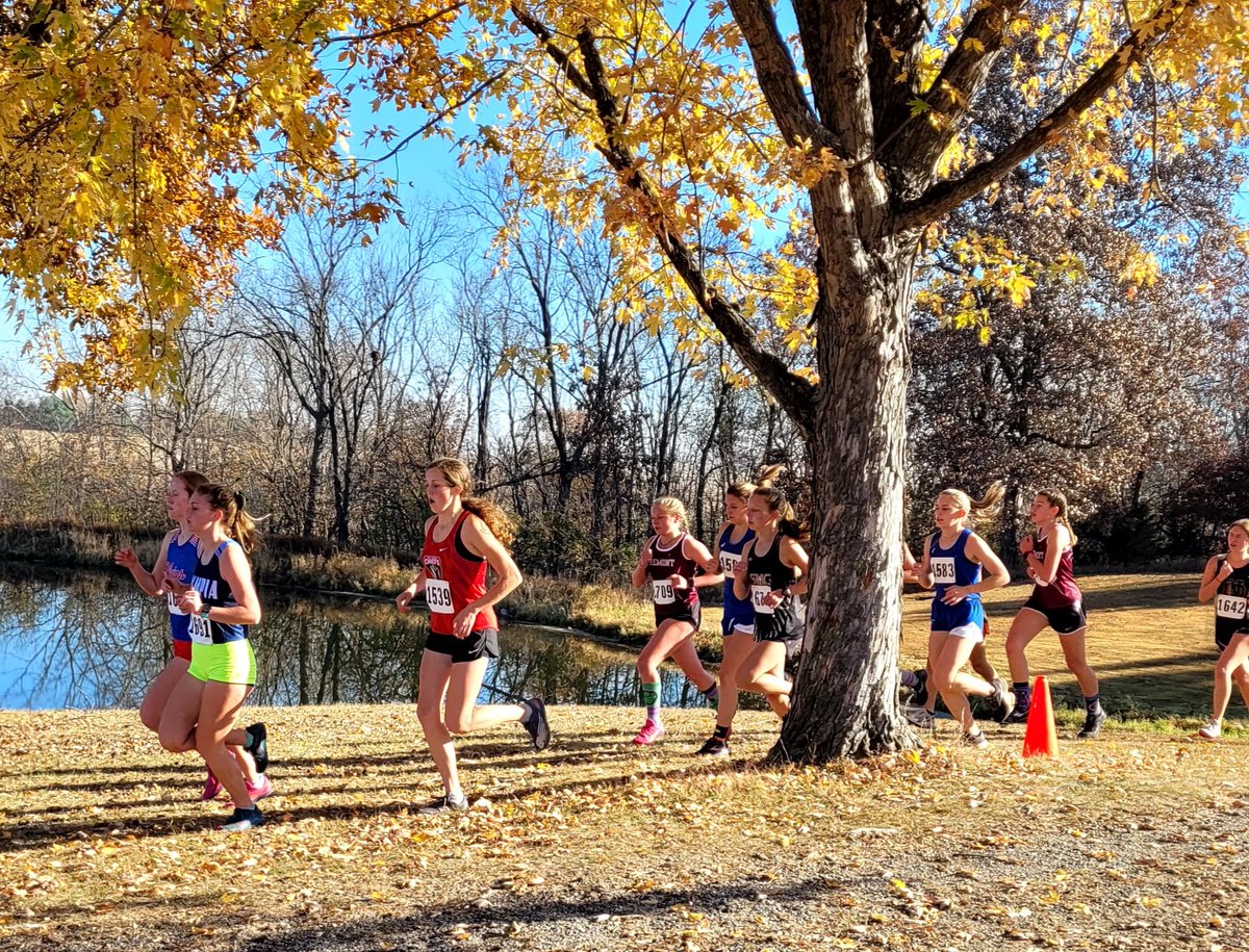 Dee-Mack XC & TF tweet media