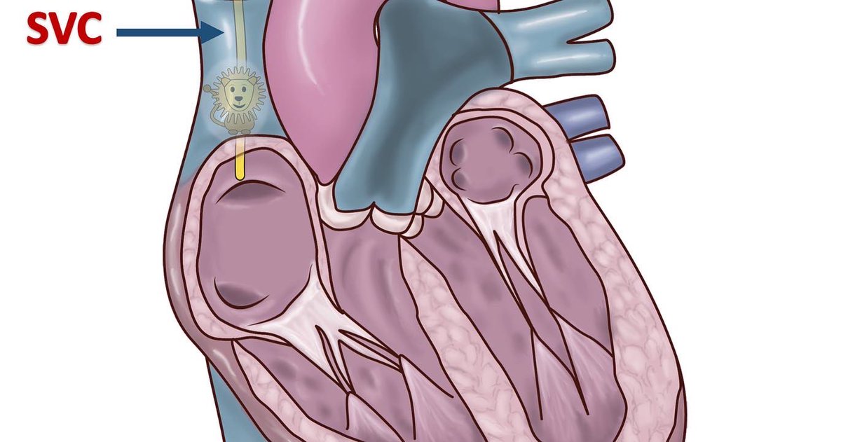 Dr.Mohamed El Tahan tweet media