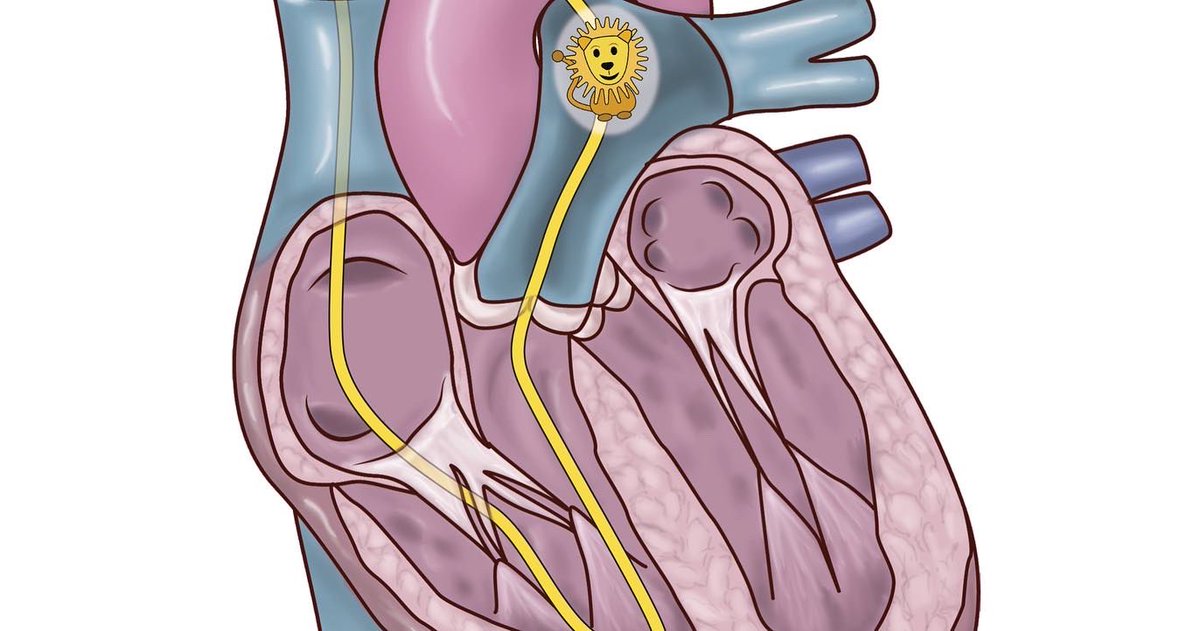 Dr.Mohamed El Tahan tweet media