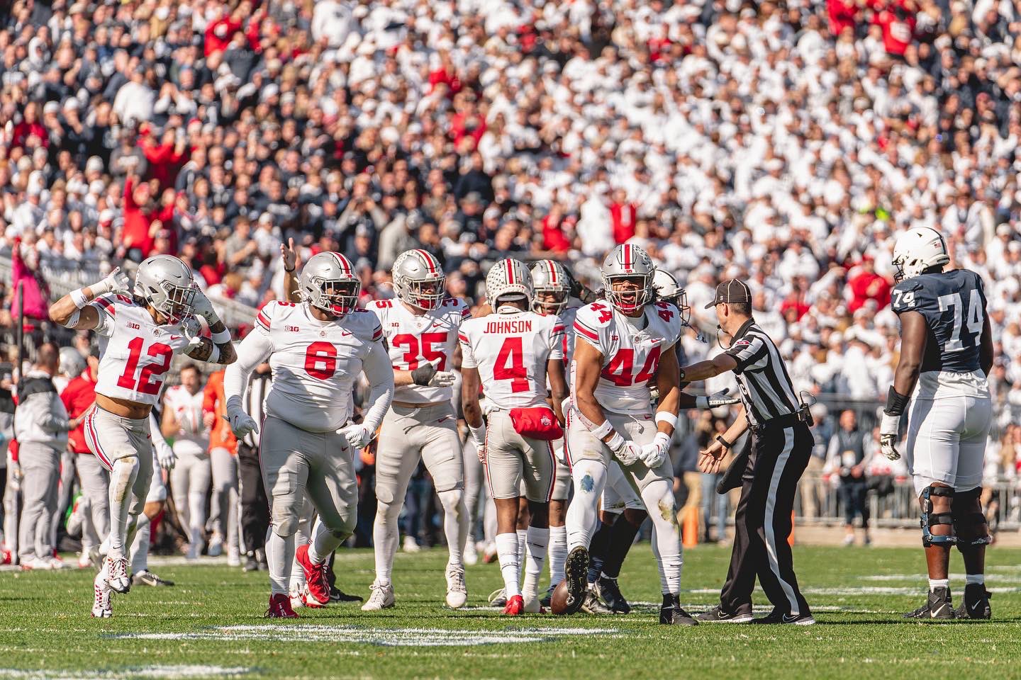A group of vicious buckeyes