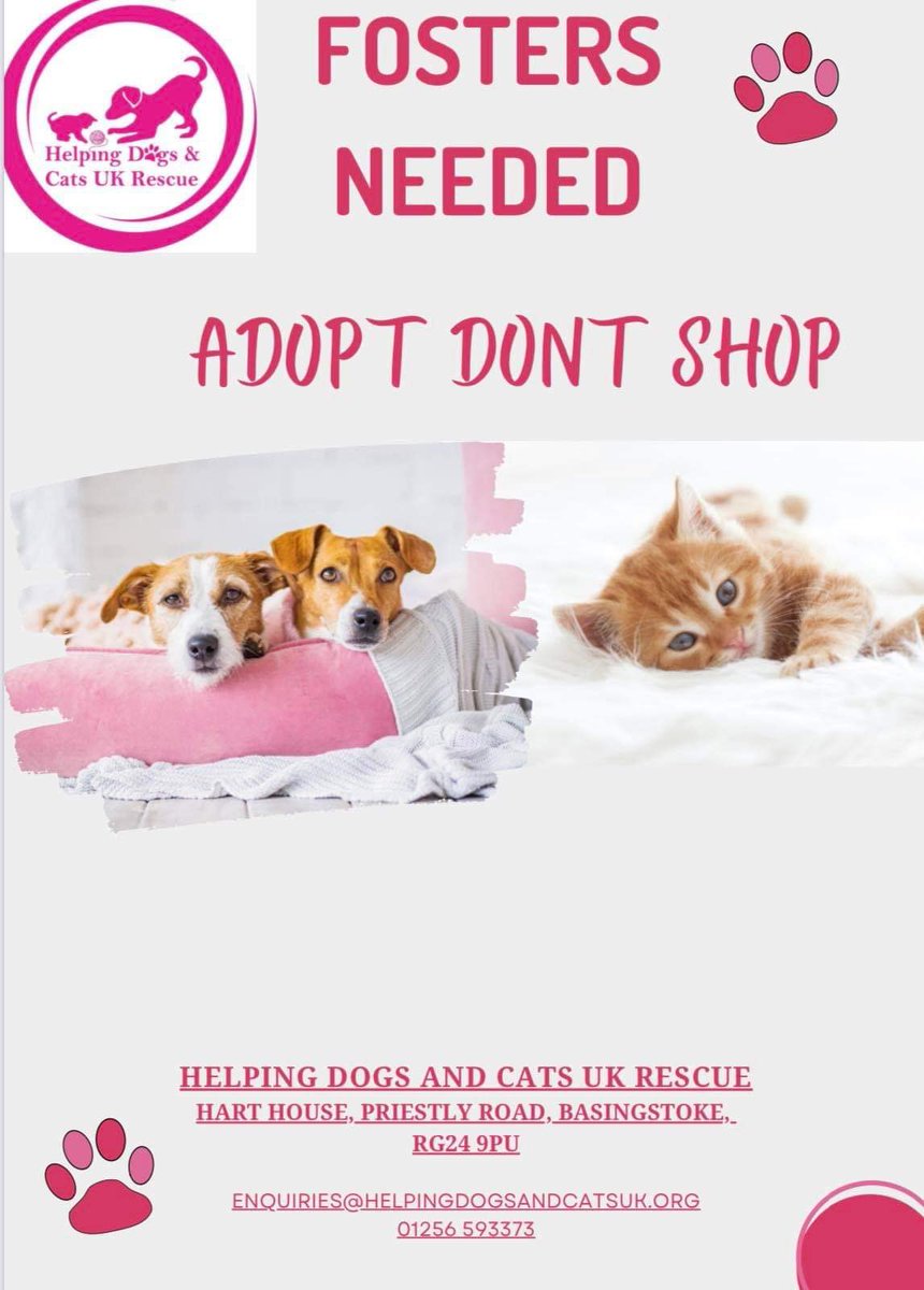 Helping Dogs & Cats UK Rescue C.I.C (@hdcuk_rescue) on Twitter photo 