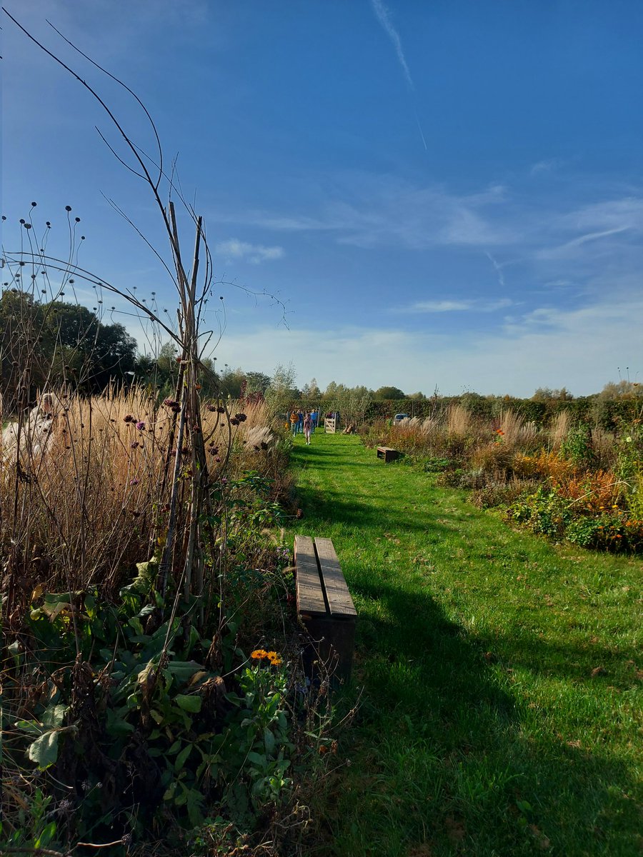 Suzanne_Helmond's tweet photo. Met Klimaatburgemeester Brigitte een mooie wandeling gemaakt naar Pluktuin Mooy. Onderwerp van gesprek: Wat we zelf kunnen doen om de wereld duurzamer en klimaatadaptief te maken. @MChahim sprak over zijn werk in Brussel voor het Europees parlement. https://t.co/C0ipSC6RvH