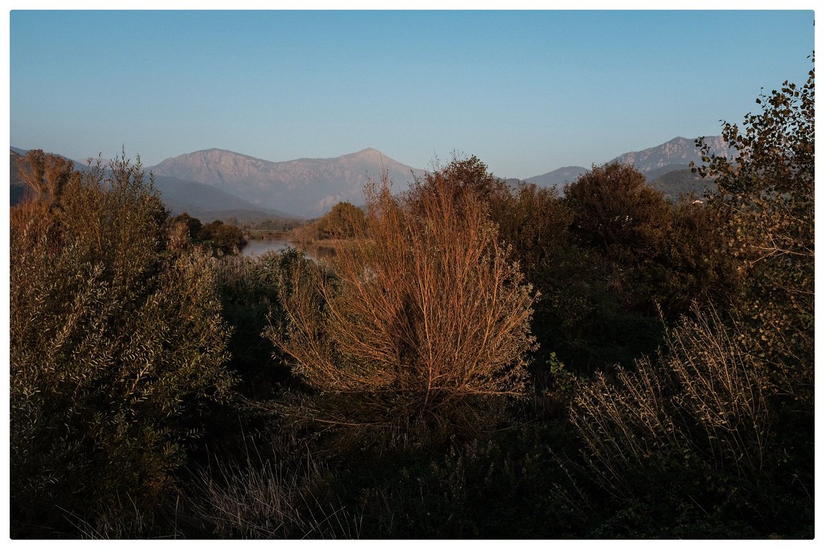 VincentMigeat's tweet photo. Plaine du #Liamone, #Corse octobre 2022. https://t.co/jq7hJHsUb9