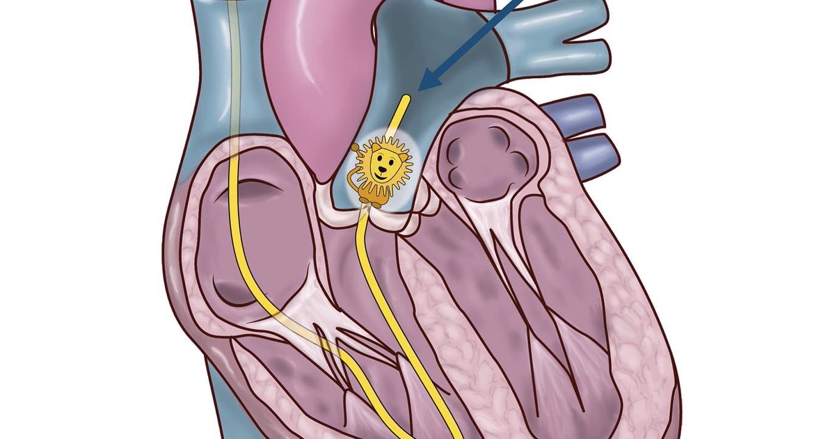 Dr.Mohamed El Tahan tweet media