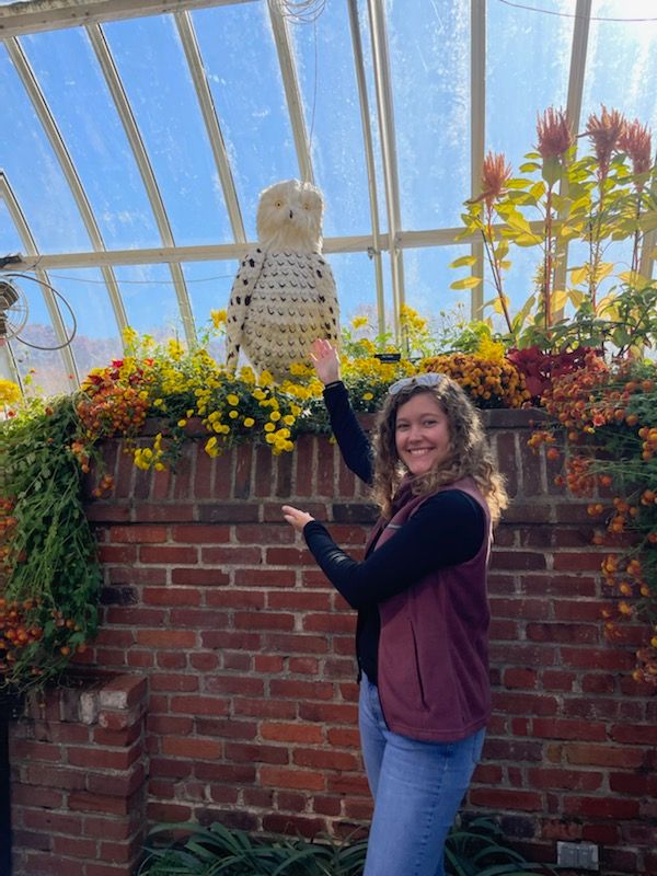 Lauren E. Kachel tweet media